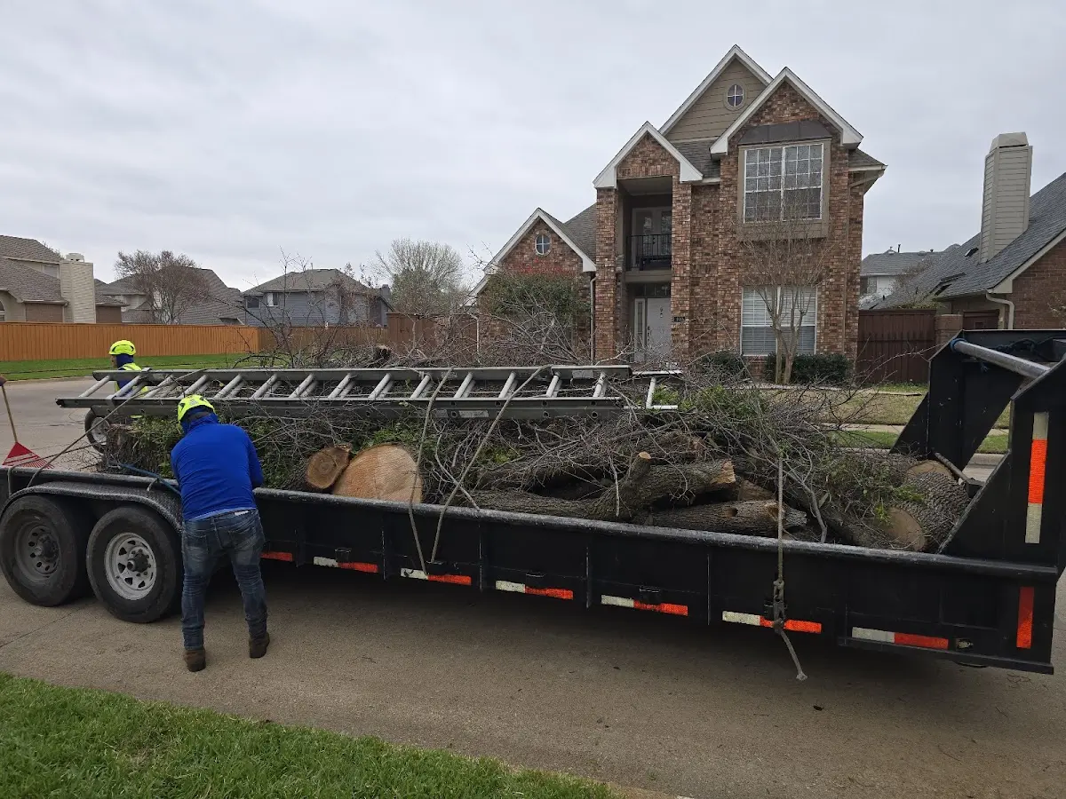 Expert Lot Clearing with proper safety equipment in Vienna